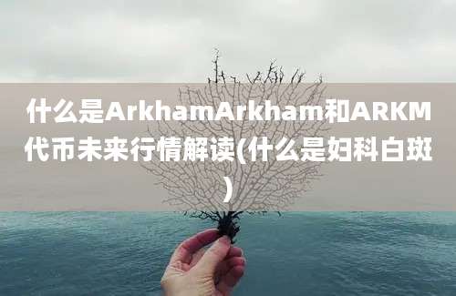 什么是ArkhamArkham和ARKM代币未来行情解读(什么是妇科白斑)