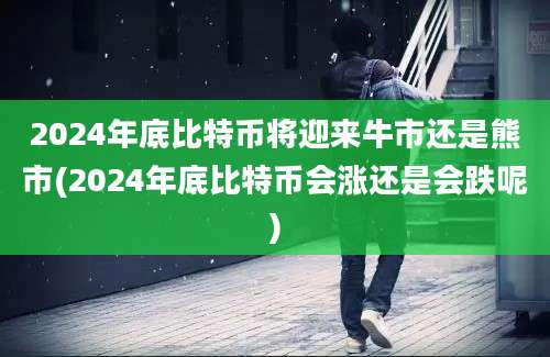 2024年底比特币将迎来牛市还是熊市(2024年底比特币会涨还是会跌呢)