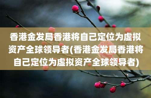 香港金发局香港将自己定位为虚拟资产全球领导者(香港金发局香港将自己定位为虚拟资产全球领导者)