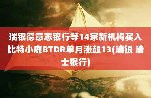 瑞银德意志银行等14家新机构买入比特小鹿BTDR单月涨超13(瑞银 瑞士银行)