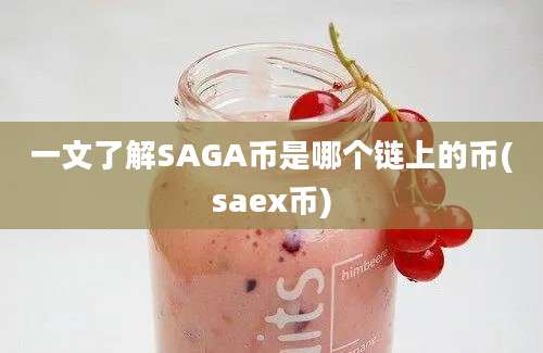 一文了解SAGA币是哪个链上的币(saex币)