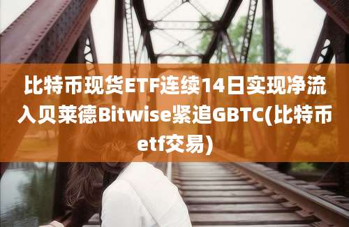 比特币现货ETF连续14日实现净流入贝莱德Bitwise紧追GBTC(比特币etf交易)