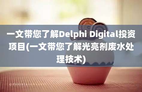 一文带您了解Delphi Digital投资项目(一文带您了解光亮剂废水处理技术)