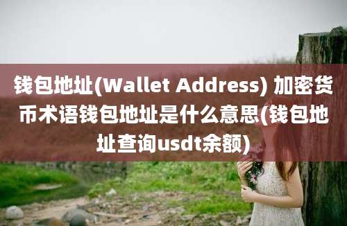 钱包地址(Wallet Address) 加密货币术语钱包地址是什么意思(钱包地址查询usdt余额)