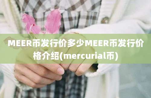 MEER币发行价多少MEER币发行价格介绍(mercurial币)