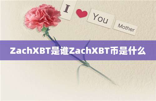 ZachXBT是谁ZachXBT币是什么