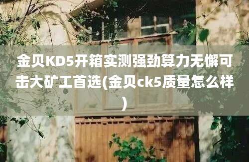 金贝KD5开箱实测强劲算力无懈可击大矿工首选(金贝ck5质量怎么样)