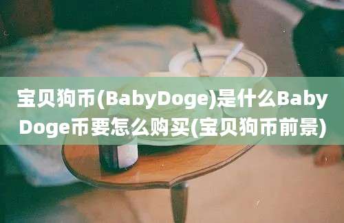 宝贝狗币(BabyDoge)是什么BabyDoge币要怎么购买(宝贝狗币前景)