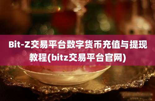 Bit-Z交易平台数字货币充值与提现教程(bitz交易平台官网)