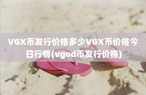 VGX币发行价格多少VGX币价格今日行情(vgod币发行价格)