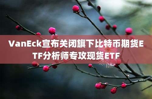 VanEck宣布关闭旗下比特币期货ETF分析师专攻现货ETF