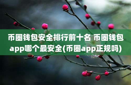 币圈钱包安全排行前十名 币圈钱包app哪个最安全(币圈app正规吗)