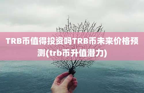 TRB币值得投资吗TRB币未来价格预测(trb币升值潜力)