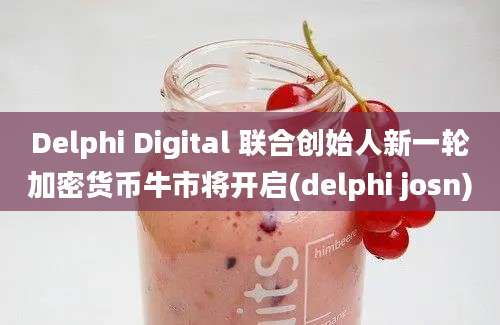 Delphi Digital 联合创始人新一轮加密货币牛市将开启(delphi josn)