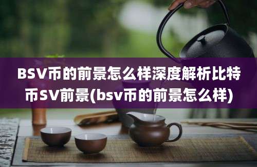 BSV币的前景怎么样深度解析比特币SV前景(bsv币的前景怎么样)