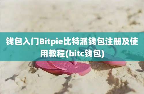 钱包入门Bitpie比特派钱包注册及使用教程(bitc钱包)