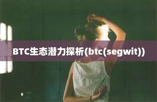 BTC生态潜力探析(btc(segwit))