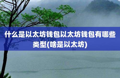 什么是以太坊钱包以太坊钱包有哪些类型(啥是以太坊)