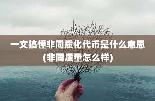 一文搞懂非同质化代币是什么意思(非同质量怎么样)