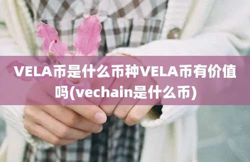 VELA币是什么币种VELA币有价值吗(vechain是什么币)