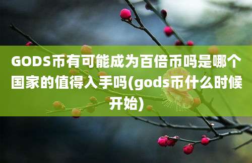 GODS币有可能成为百倍币吗是哪个国家的值得入手吗(gods币什么时候开始)