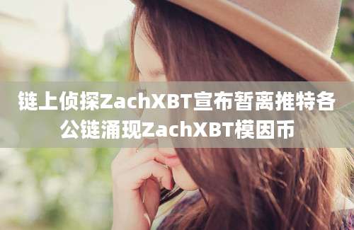 链上侦探ZachXBT宣布暂离推特各公链涌现ZachXBT模因币