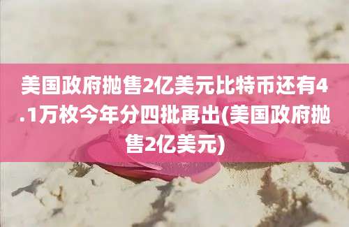 美国政府抛售2亿美元比特币还有4.1万枚今年分四批再出(美国政府抛售2亿美元)