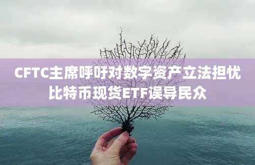 CFTC主席呼吁对数字资产立法担忧比特币现货ETF误导民众