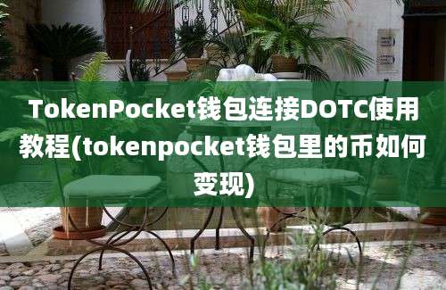 TokenPocket钱包连接DOTC使用教程(tokenpocket钱包里的币如何变现)