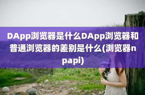 DApp浏览器是什么DApp浏览器和普通浏览器的差别是什么(浏览器npapi)