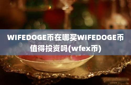 WIFEDOGE币在哪买WIFEDOGE币值得投资吗(wfex币)