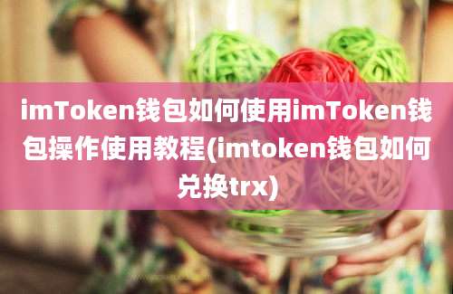 imToken钱包如何使用imToken钱包操作使用教程(imtoken钱包如何兑换trx)