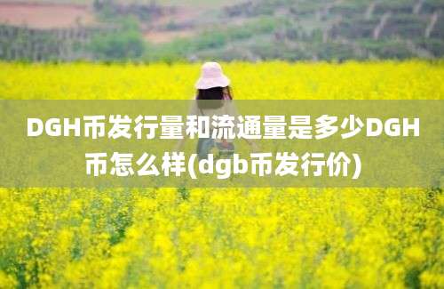 DGH币发行量和流通量是多少DGH币怎么样(dgb币发行价)