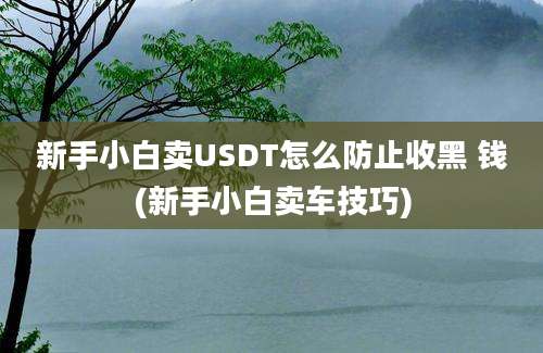 新手小白卖USDT怎么防止收黑 钱(新手小白卖车技巧)