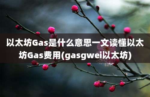 以太坊Gas是什么意思一文读懂以太坊Gas费用(gasgwei以太坊)