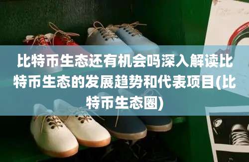 比特币生态还有机会吗深入解读比特币生态的发展趋势和代表项目(比特币生态圈)