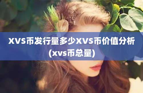 XVS币发行量多少XVS币价值分析(xvs币总量)