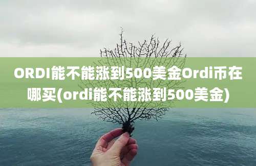 ORDI能不能涨到500美金Ordi币在哪买(ordi能不能涨到500美金)