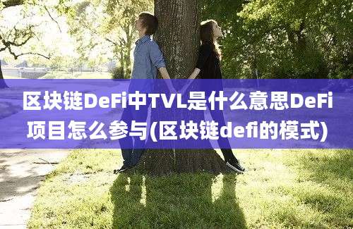 区块链DeFi中TVL是什么意思DeFi项目怎么参与(区块链defi的模式)