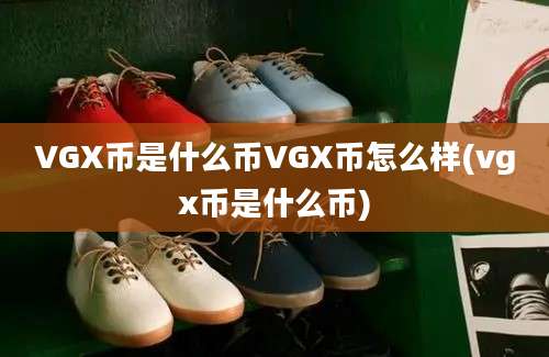 VGX币是什么币VGX币怎么样(vgx币是什么币)