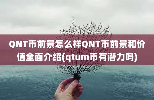 QNT币前景怎么样QNT币前景和价值全面介绍(qtum币有潜力吗)