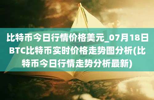 比特币今日行情价格美元_07月18日BTC比特币实时价格走势图分析(比特币今日行情走势分析最新)