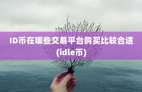 ID币在哪些交易平台购买比较合适(idle币)