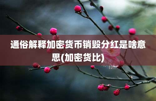 通俗解释加密货币销毁分红是啥意思(加密货比)