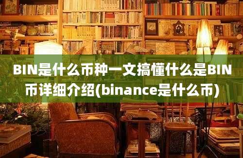 BIN是什么币种一文搞懂什么是BIN币详细介绍(binance是什么币)