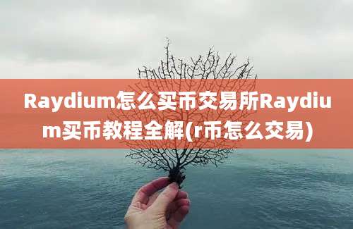 Raydium怎么买币交易所Raydium买币教程全解(r币怎么交易)