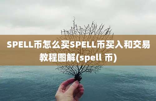 SPELL币怎么买SPELL币买入和交易教程图解(spell 币)