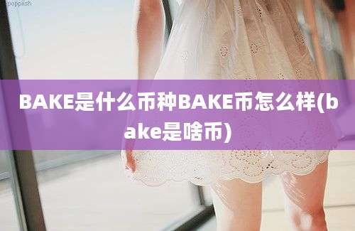 BAKE是什么币种BAKE币怎么样(bake是啥币)