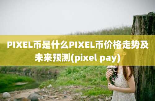 PIXEL币是什么PIXEL币价格走势及未来预测(pixel pay)