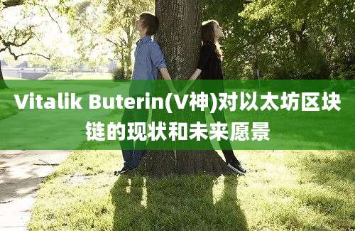 Vitalik Buterin(V神)对以太坊区块链的现状和未来愿景